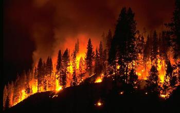 Increased wildfire danger in the Southwest United States is associated with La Niña events.